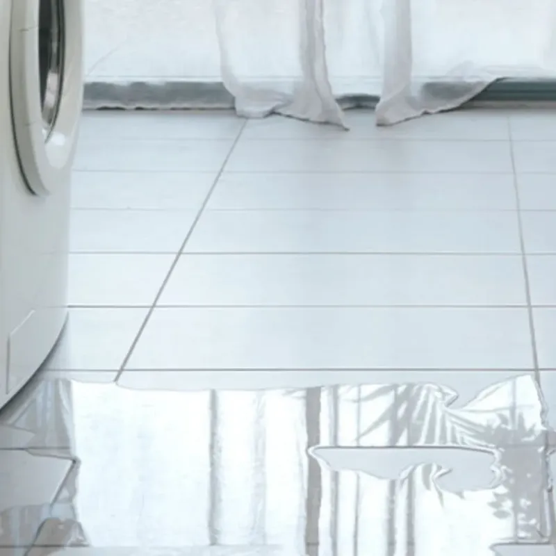 Appliance Leak Cleanup in Andover, NY