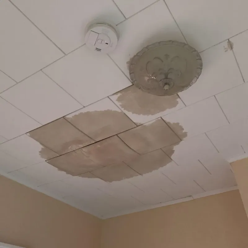 Ceiling Water Damage Repair in Andover, NY